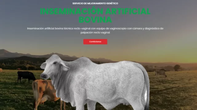 Inseminación Artificial Bovina